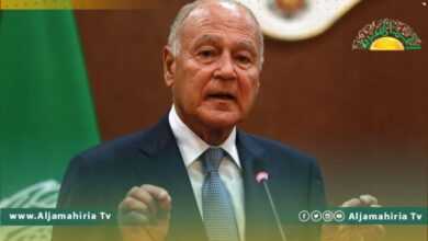 أبوالغيط يطالب بوضع القاعدة الدستورية اللازمة للانتخابات وخروج المرتزقة من ليبيا