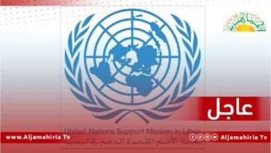 البعثة الأممية