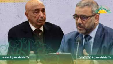 ننشر شروط الترشح للانتخابات الرئاسية والتشريعية التي تضمنها مشروع القاعدة الدستورية