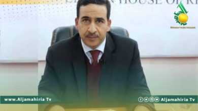 النويري يؤكد ضرورة التمسك بدور البرلمان لإنجاز الاستحقاقات الرئاسية والبرلمانية