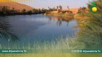 الهيئة