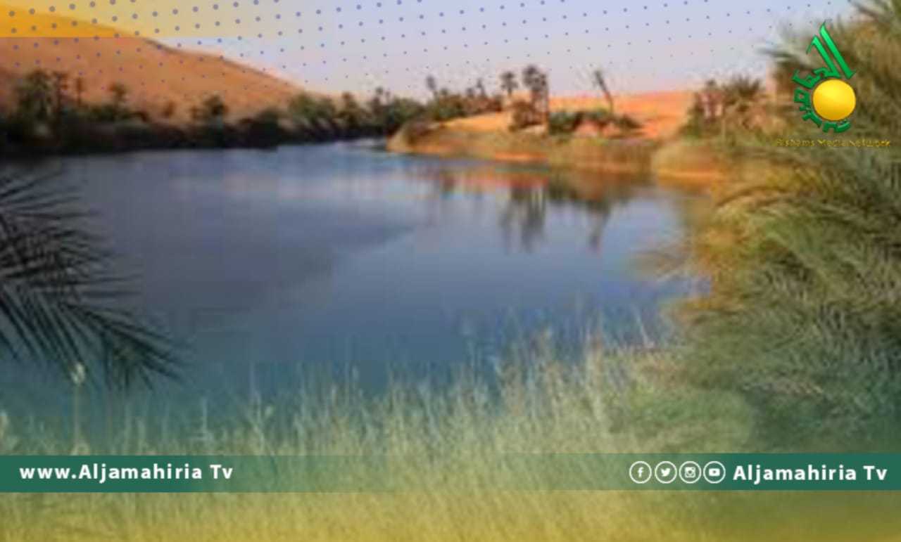 الهيئة