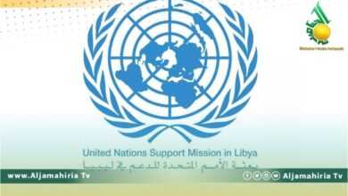 البعثة الأممية