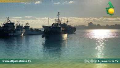 الدولية للهجرة