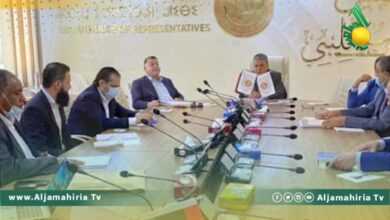 لجنة التخطيط