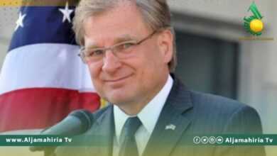 السفير الامريكي نورلاند