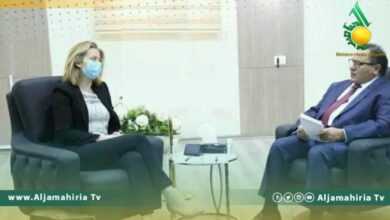 التعليم العالي