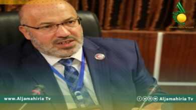 بدر الدين النجار