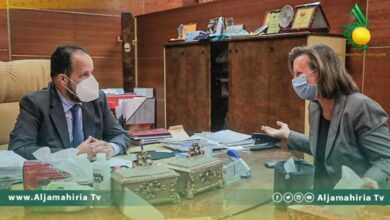 وزير الصحة علي الزناتي