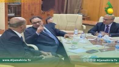 التعليم العالي