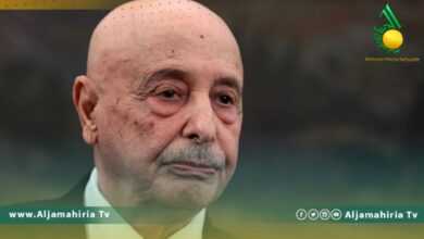 مجلس النواب