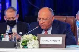 الكشف عن فحوى موقف مصر في مؤتمر برلين