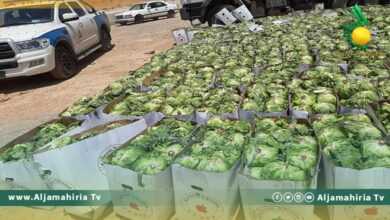 الرقابة على الأغذية والأدوية