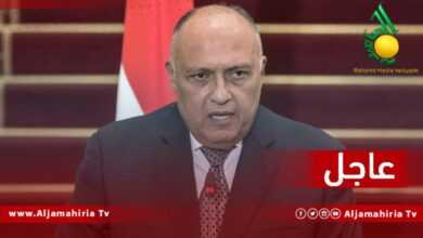 وزير الخارجية المصري