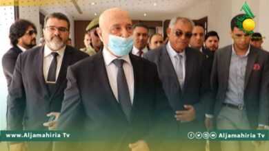 رئيس مجلس النواب يزور نائب رئيس الوزراء