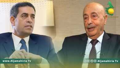 عقيلة صالح يلتقي السايح