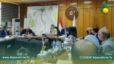 وزير العمل يلتقي نظيره المصري بالقاهرة