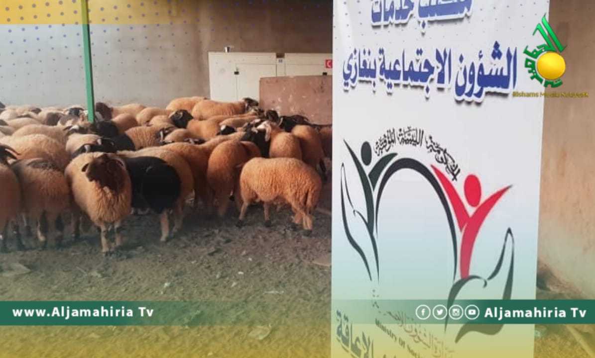 الأضاحي تصل بنغازي