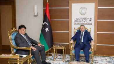 مجلس الدولة