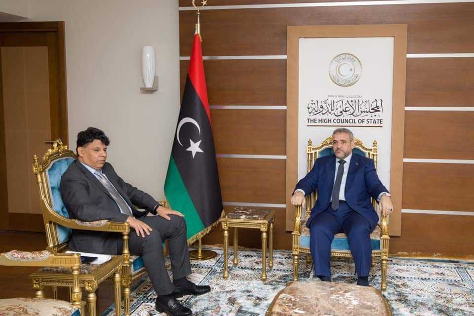 مجلس الدولة