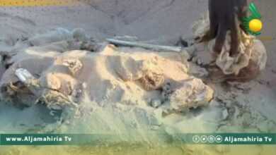 جثنان سيدة في تازربو