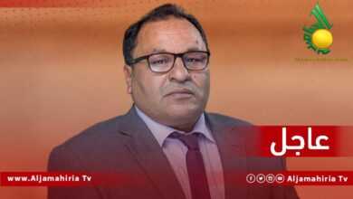 وزير التعليم العالي