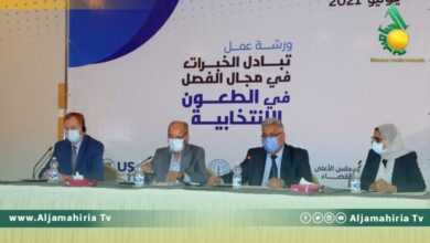 المفوضية العليا