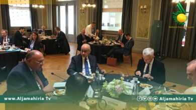 وزير الخارجية المصري