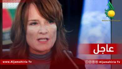 غانيون البعثة الاممية عاجل