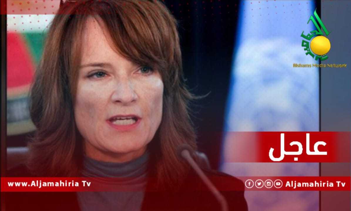 غانيون البعثة الاممية عاجل