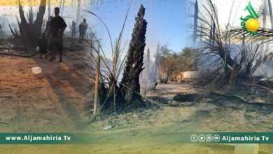 احتراق مزارع زلة