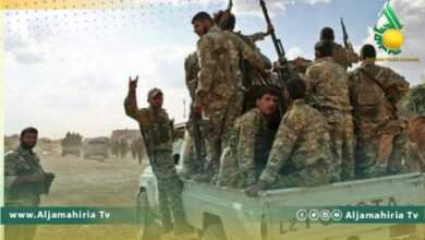 الفصائل الموالية