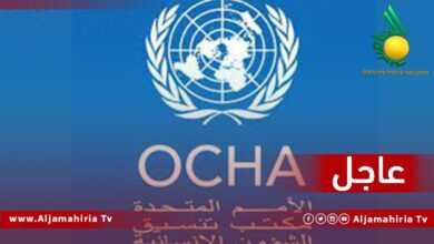 عاجل الامم المتحدة