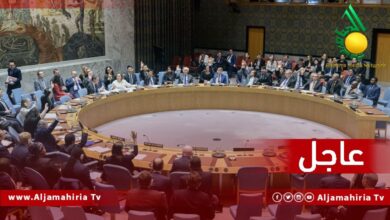 مجلس الأمن عاجل