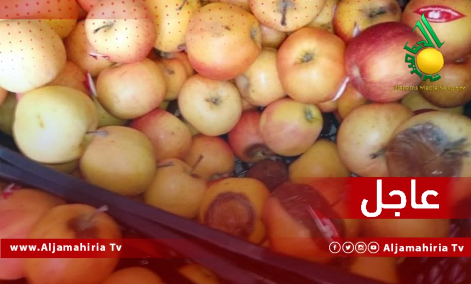 عاجل التفاح