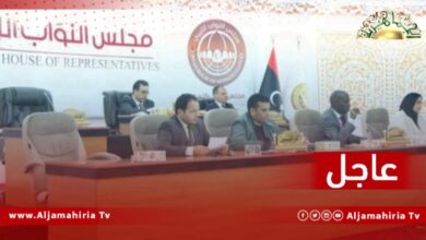 شاغلي المناصب السيادية