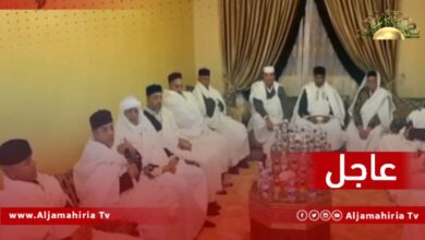 عاجل| أحفاد المجاهدين: مؤمنون أن الدكتور سيف الإسلام قائد هذه المرحلة وأن مجيئك كالغيث الذي طالما انتظرناه طويلا