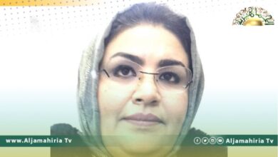 إيناس حميدة