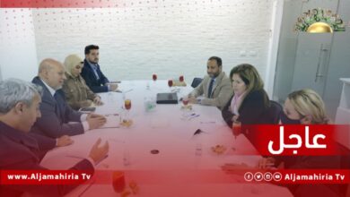 عاجل| وليامز: ناقشت مع صوان وكعوان الحاجة الملحة للمحافظة على الزخم لإجراء الانتخابات في أقصر وقت