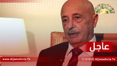 عاجل// عقيلة صالح: على المفوضية أن تحدد ماهي الأطراف السياسية التي هددت ونريد أن تكون نتائج الانتخابات مقبولة من الجميع