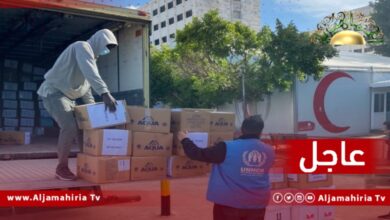 مفوضية اللاجئين