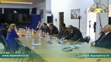 وليامز: أي حل يجب أن يأخذ في الاعتبار مطلب الـ 2.5 مليون ناخب ليبي بإجراء الإنتخابات