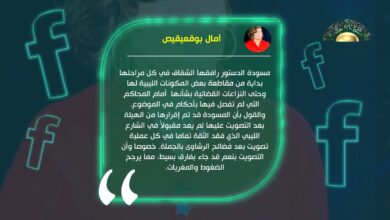 بوقعيقيص ترفض مسودة الدستور وتقول: كل سطر فيها ملتبس ومدسوس وصاحبتها الرشاوى