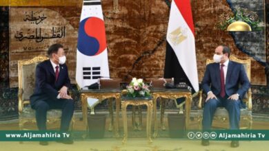 السيسي: مصر تواصل حث الأطراف الليبية على إجراء انتخابات وطنية