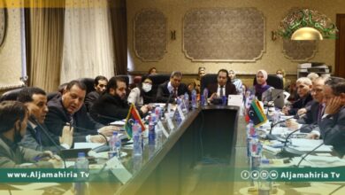 مصر تبدي استعدادها لنقل تجربتها في ميكنة المنظومة الجمركية لليبيا