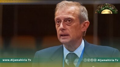 رئيس لجنة الشؤون الخارجية بمجلس النواب الإيطالي بييرو فاسينو