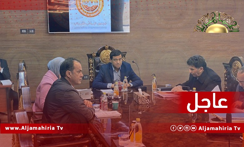 نصر الدين مهنا: "خارطة الطريق" لديها مرحلة ثانية من اللقاءات واستطعنا الحصول على توافقات كبيرة بين الأطراف