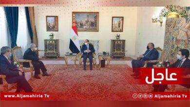 عاجل// الناطق باسم الرئاسة المصرية: السيسي بحث مع وزير الخارجية الجزائري رمطان لعمامرة مستجدات الوضع في ليبيا
