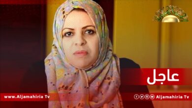 عاجل| ابتسام الرباعي أمام مجلس النواب: كان على السائح أن يبرىء مسؤوليته بالاستقالة أمام مجلس النواب