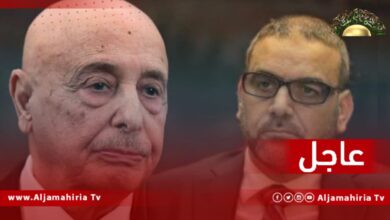 مجلسا النواب والدولة